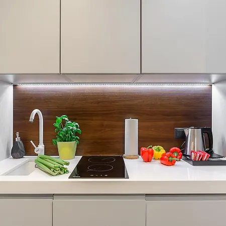 公寓 Lumina Near The Palace Of Culture *